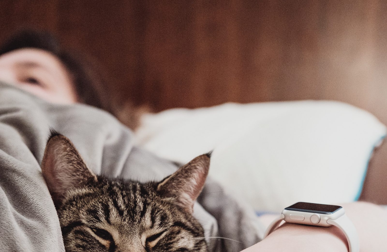 Professionnel de l&rsquo;élevage (chien et chat)