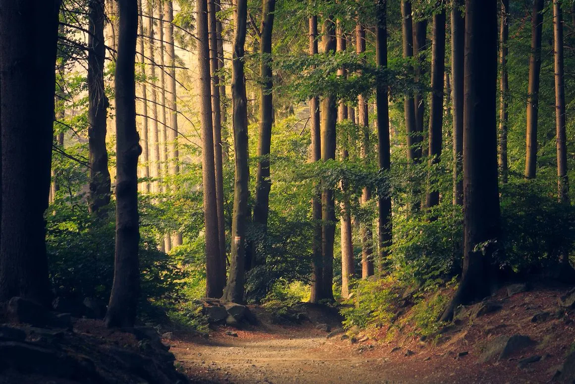 Forêts et lacs